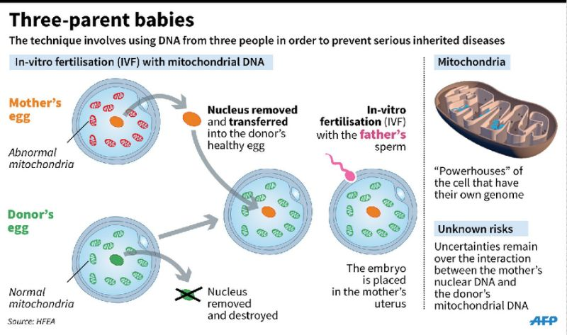 Three-parent baby born in Ukraine using new technique