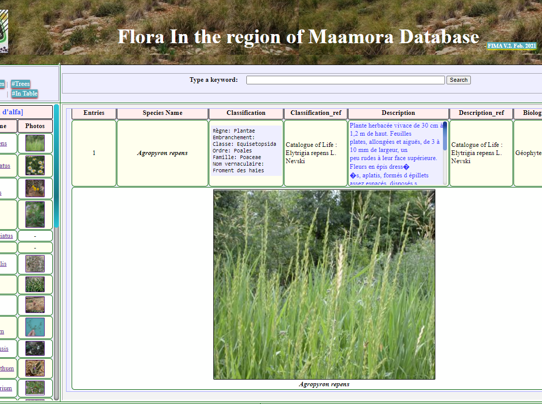 Agropyron repens entry in the online FIMA-v.2 database.