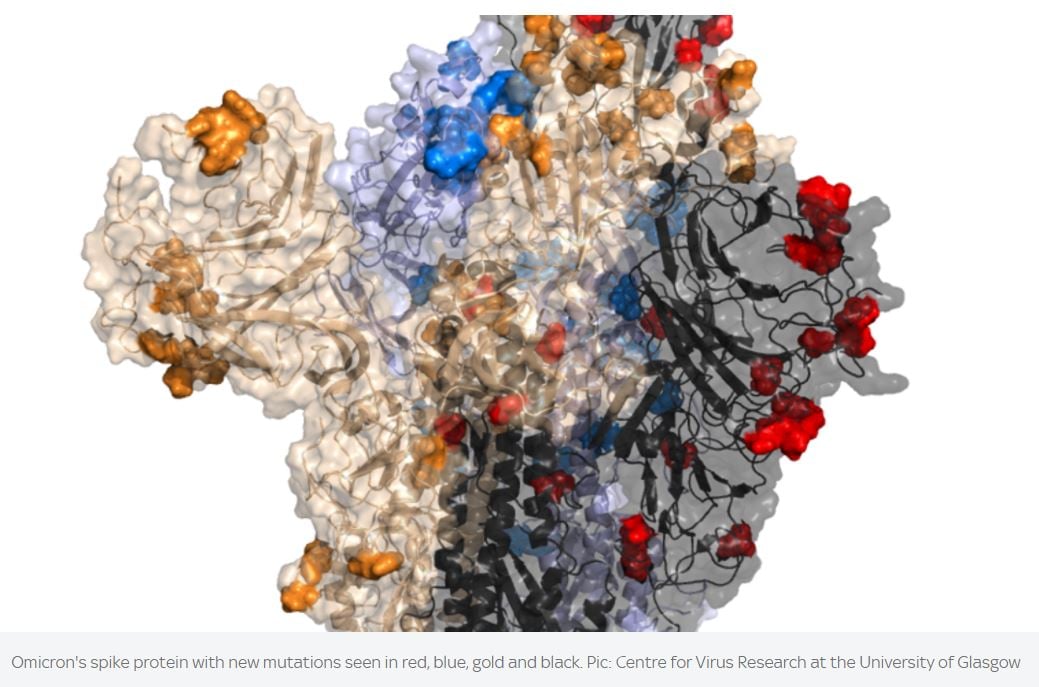 Image 1. " Omicron Spike protein and mutations "