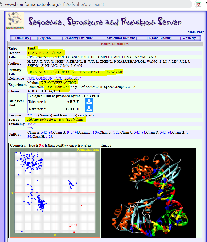 Image 2. " <div dir="right" style="text-align: center;">معقد DNAzyme مع بروتين ASFVPOLX، أنظر الرابط: </div> 
				<a href="http://www.bioinformaticstools.org/ssfs/ssfs.php?qry=5xm8 " target="_blank">http://www.bioinformaticstools.org/ssfs/ssfs.php?qry=5xm8 </a> "