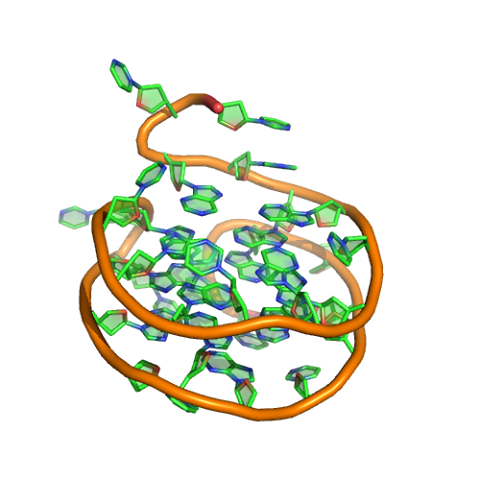 Graphical representation of the Left-handed G-quadruplex DNA