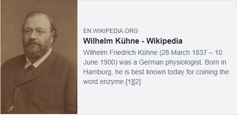 Wilhelm Kühne.<br>Best known for coining the word enzyme in 1878.