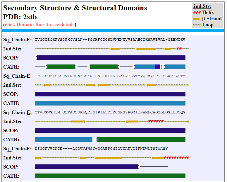 Secondary structure and structural domains of the Trypsin enzyme.