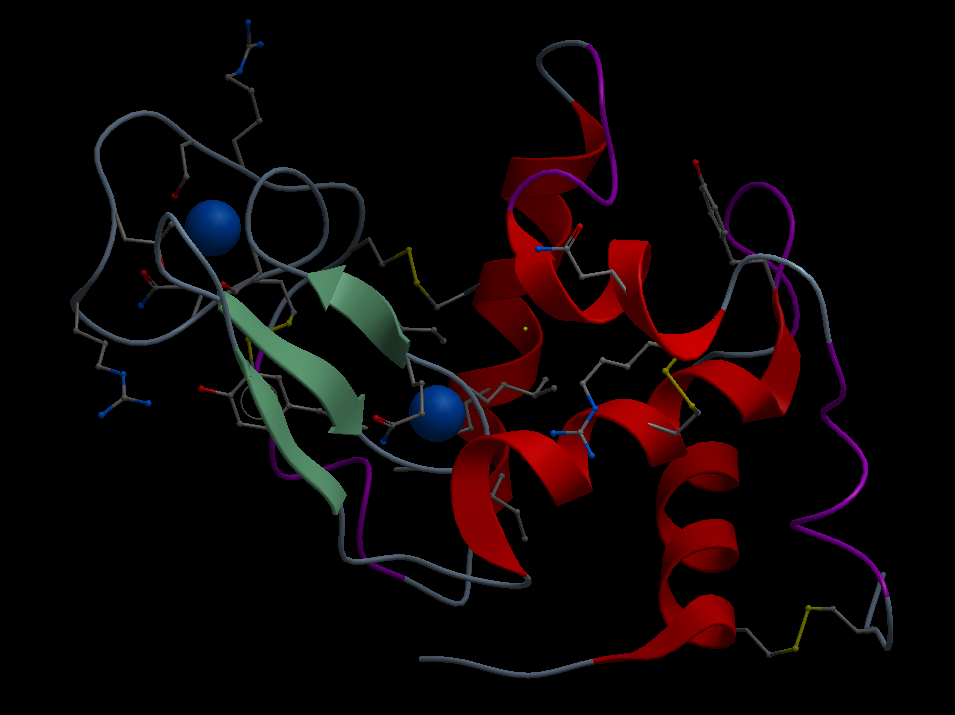 Structure of the Lysozyme determined using the ultrasound waves' leviation technique 