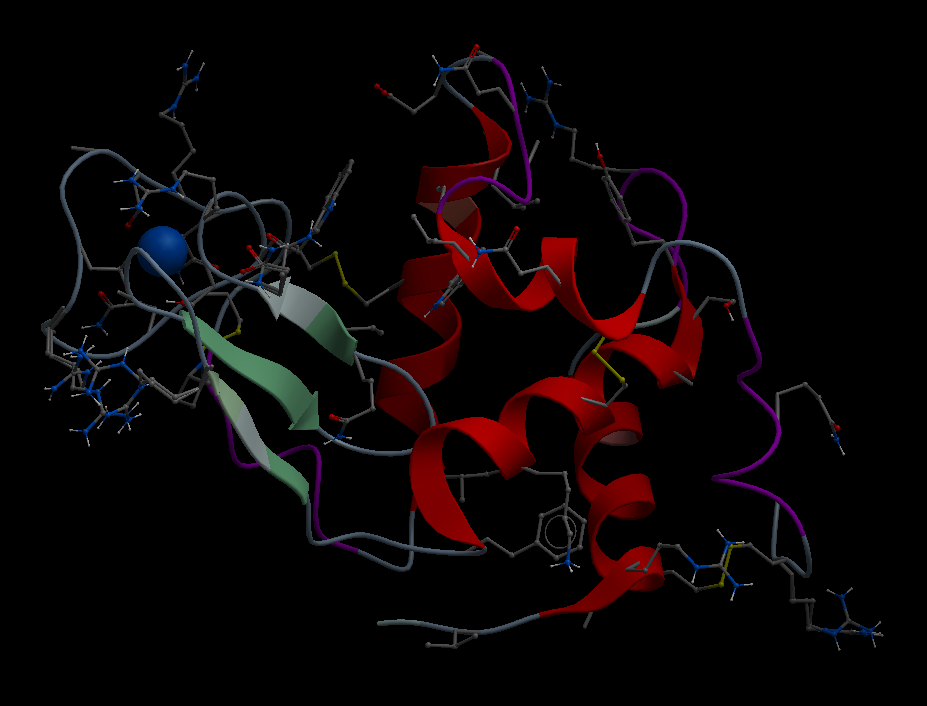 Native synchrotron structure of the Lysozyme; PDB entry: 6RT3