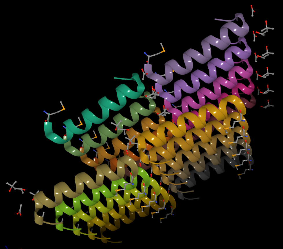 ألياف أميلويدية في تركيب حلزون_ألفا α-helical Amyloids؛ in the SSFS