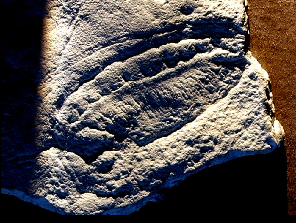 Fossil of Kimberella, a triploblastic bilaterian, and possibly a mollusc