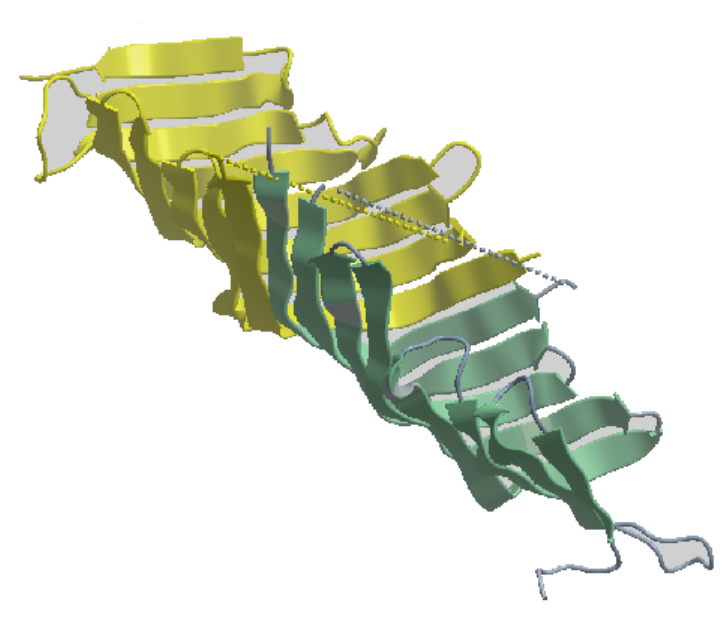 Taco shaped 3D-structure Fold (β-Taco) taken up by the protein TAMB residue region 963-1138 from the E. coli bacterium.