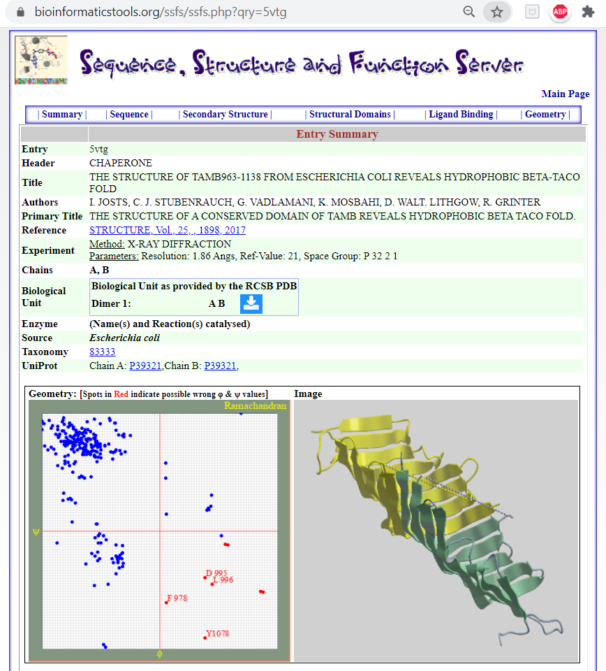 The structural fold β-taco of a Chaperone protein example.<br>Data provided by the SSFS tool extracted from the Protien Databank for the PDB id: 5VTG.