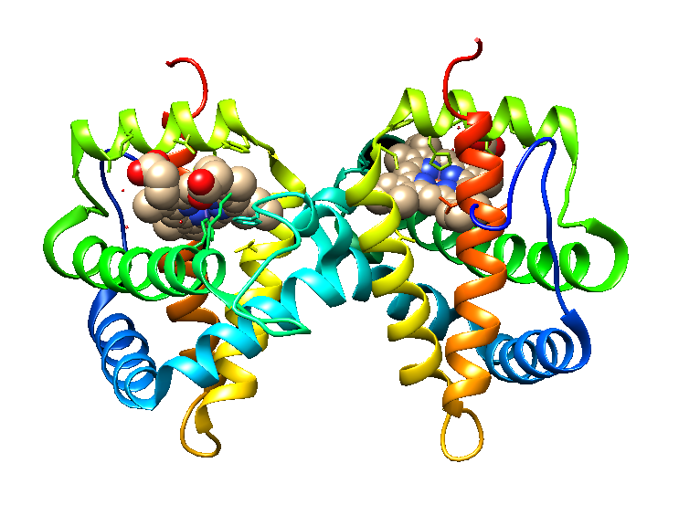Structure of a Non-Symbiotic Plant Hemoglobin from rice