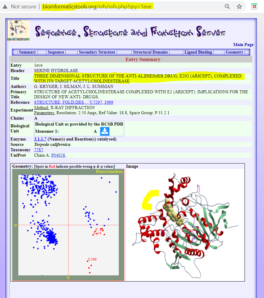 SSFS presentation of the <b>Three Dimensional Structure Of The Anti-Alzheimer Drug, E202 (Aricept), Complexed With Its Target Acetylcholinesterase</b>