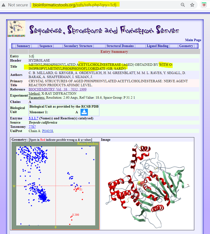 SSFS presentation of the <b>Methylphosphonylated Acetylcholinesterase (Aged) Obtained By With O-Isopropylmethylphosphonofluoridate (GB, SARIN)</b>