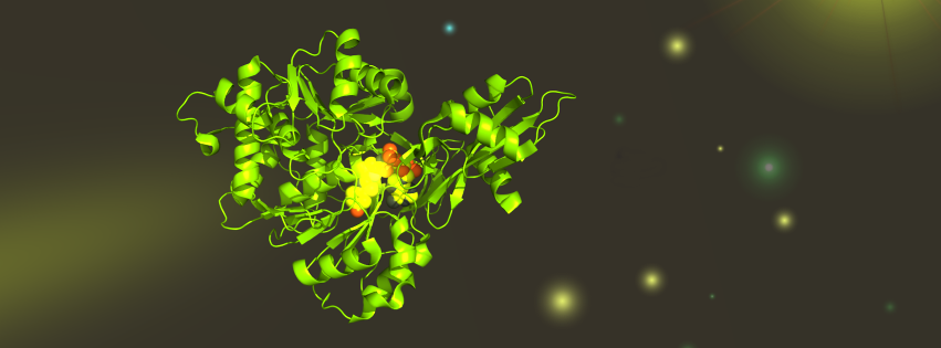 The overall structure of a Luciferase - artistically augmented.