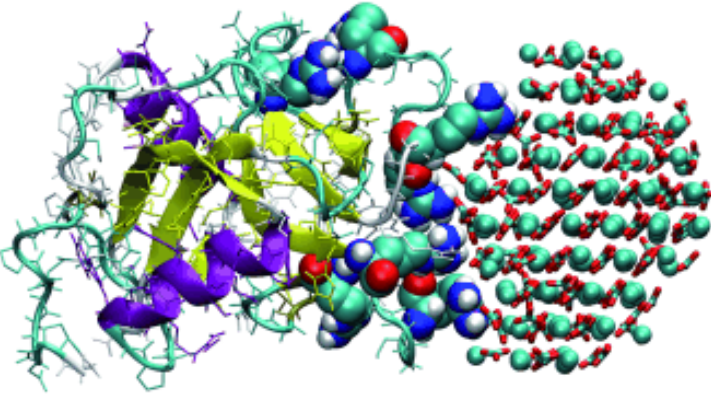 The calcifying protein Ovocledidin-17 as it crystalizes Calcium carbonate (Ca2Co3) for eggshell creation.<br>(Artitistic impression)