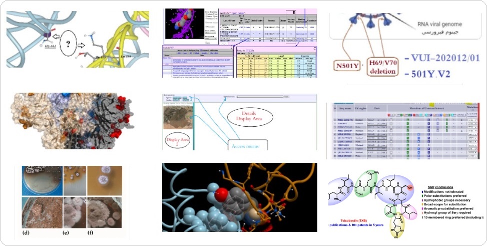 Journal: Concepts in Structural Biology & Bioinformatics