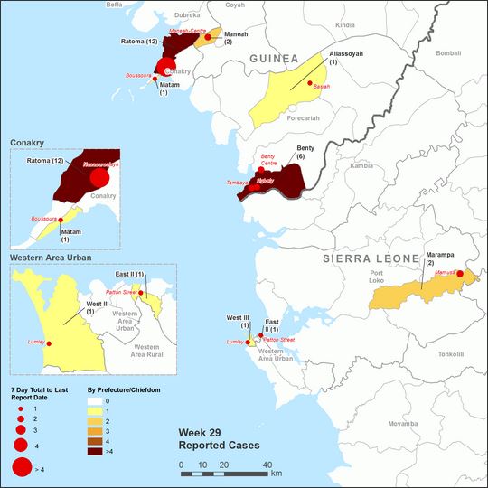 World Health Organization: Ebola Situation Report - 22 July 2015